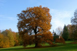 wetter_wbg062041.jpg